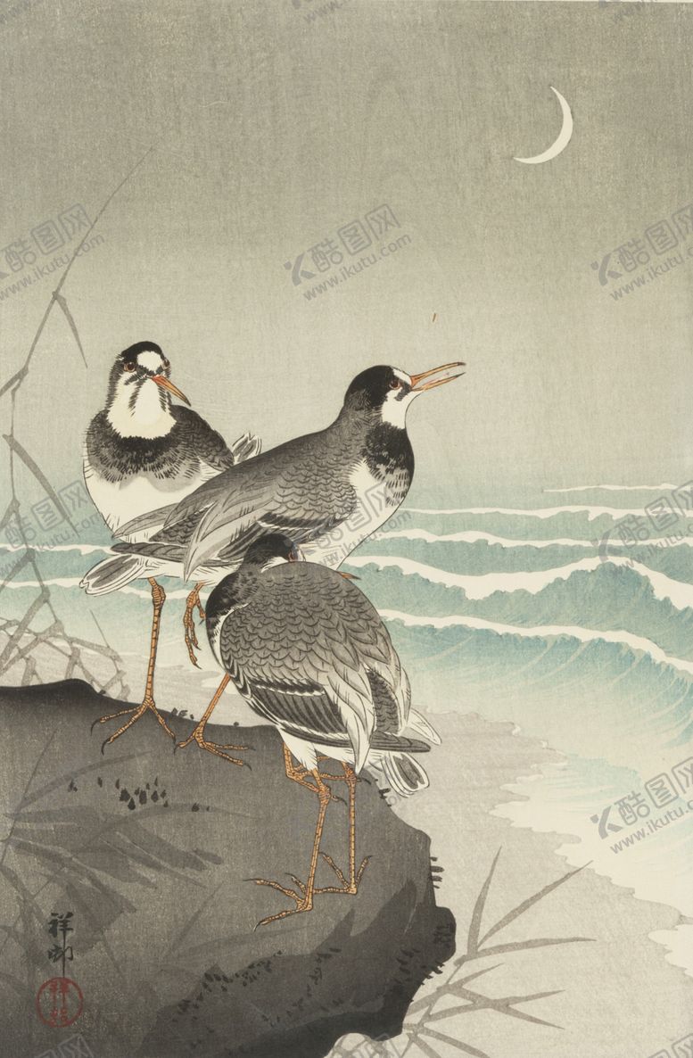 编号：55033507060033376268【酷图网】源文件下载-海鸥
