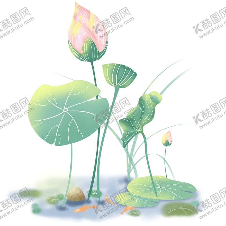 编号：84716912072355334135【酷图网】源文件下载-免扣荷花素材