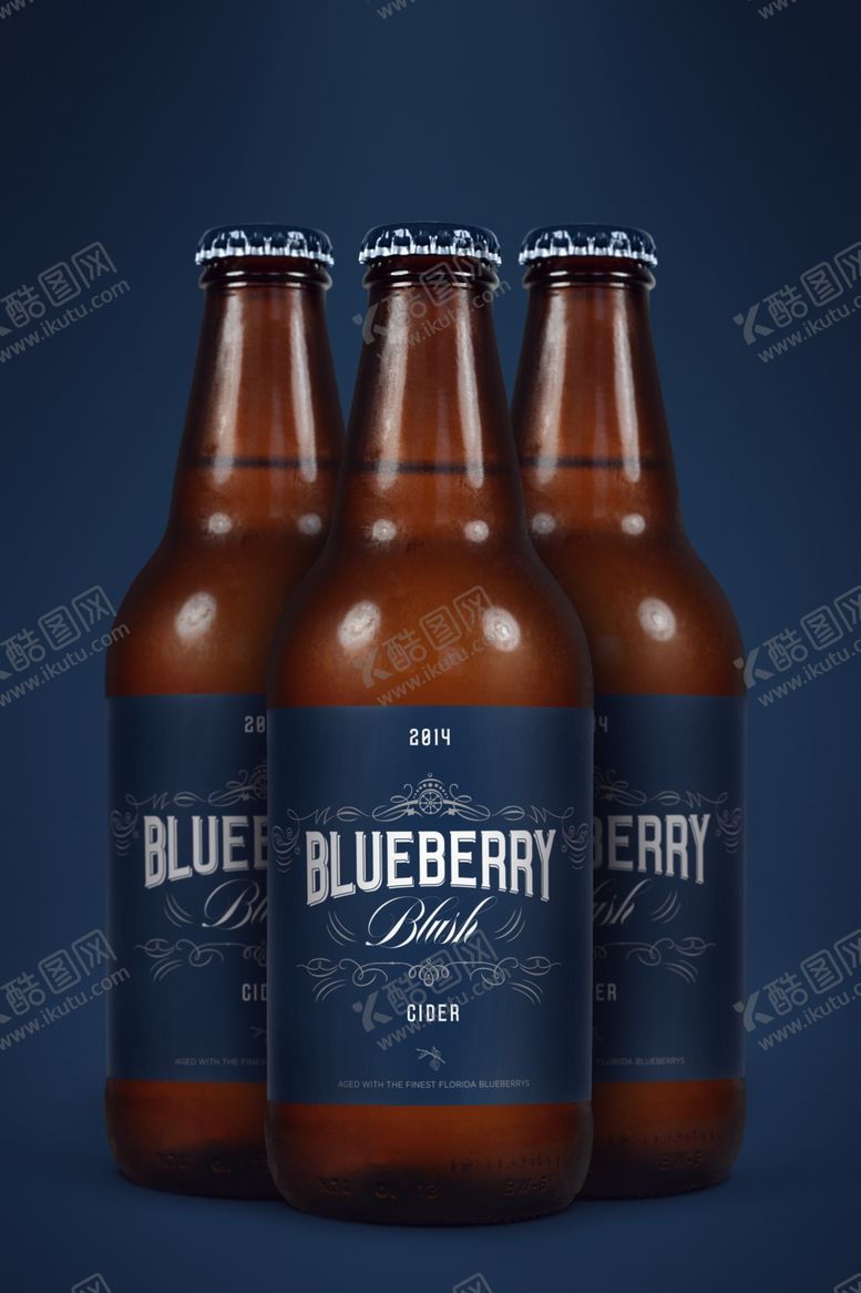 编号：15690609270000436682【酷图网】源文件下载-啤酒样机