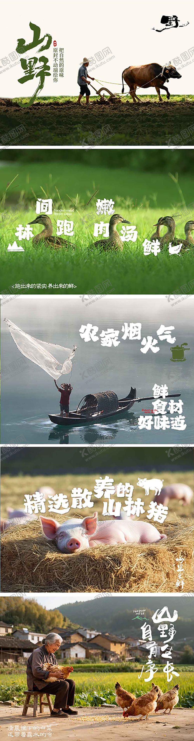 编号：47263812301440193954【酷图网】源文件下载-食材大众点评商户通banner