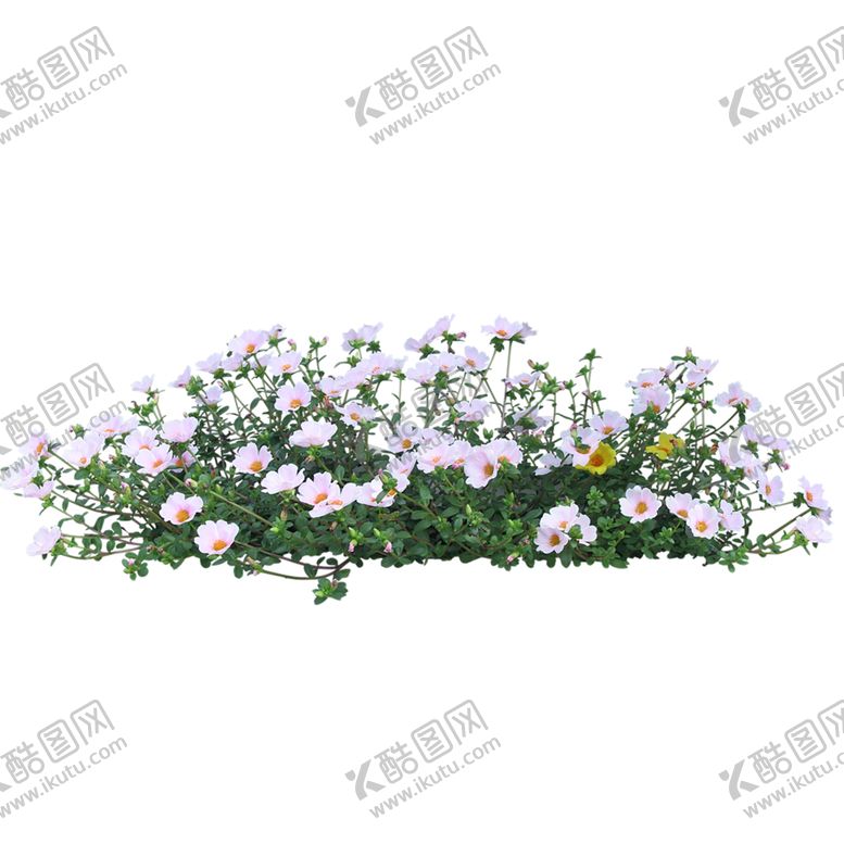 编号：69747409270715278531【酷图网】源文件下载-绿色装饰