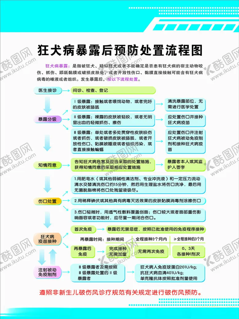 编号：38519801181632577731【酷图网】源文件下载-狂犬病暴露后预防处置流程图