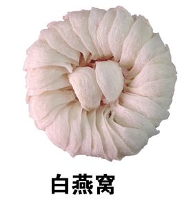 白玫瑰花PNG免扣鲜花素材