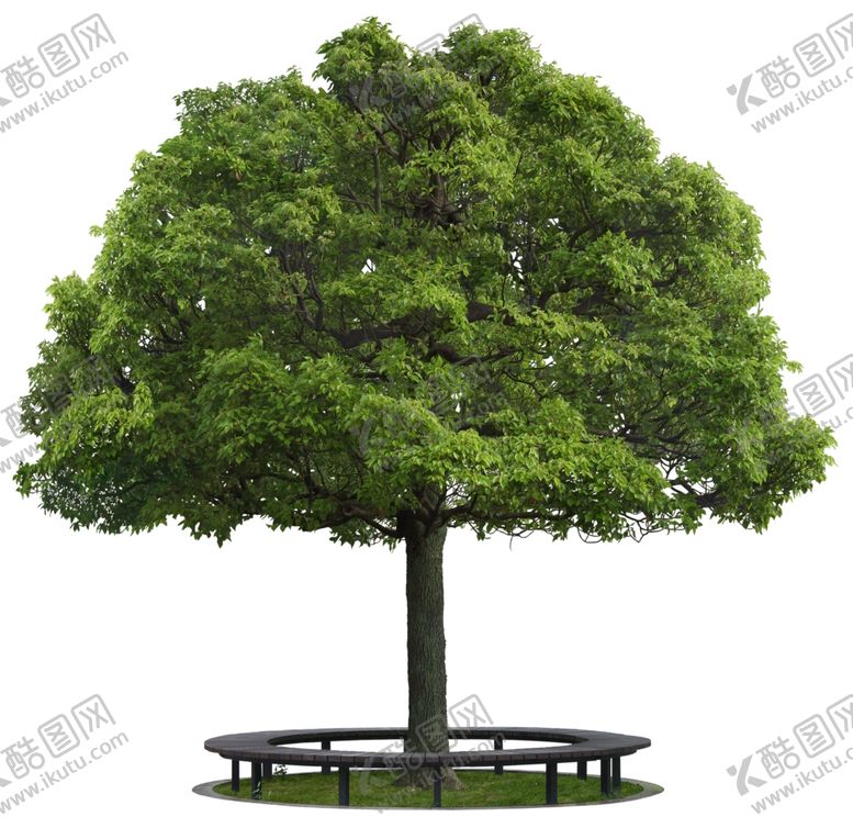 编号：99066910090047159182【酷图网】源文件下载-免扣植物树木素材图片