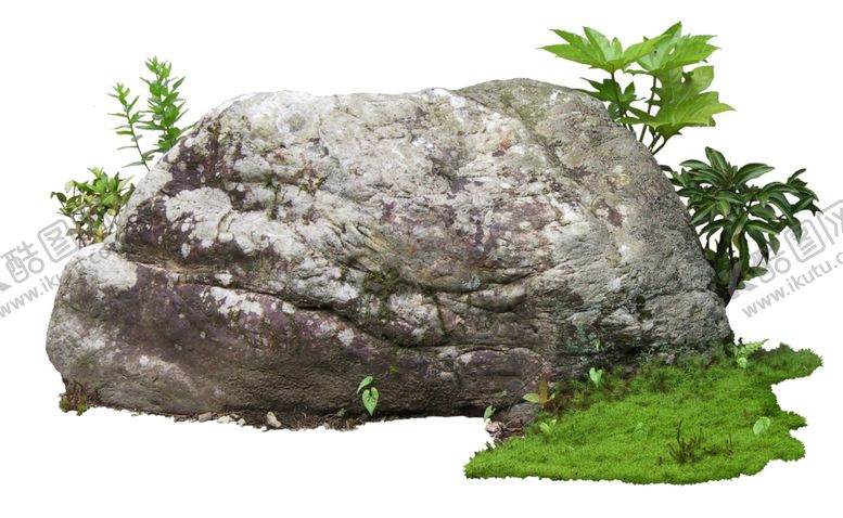 编号：20608209291237333991【酷图网】源文件下载-免扣植物素材图片