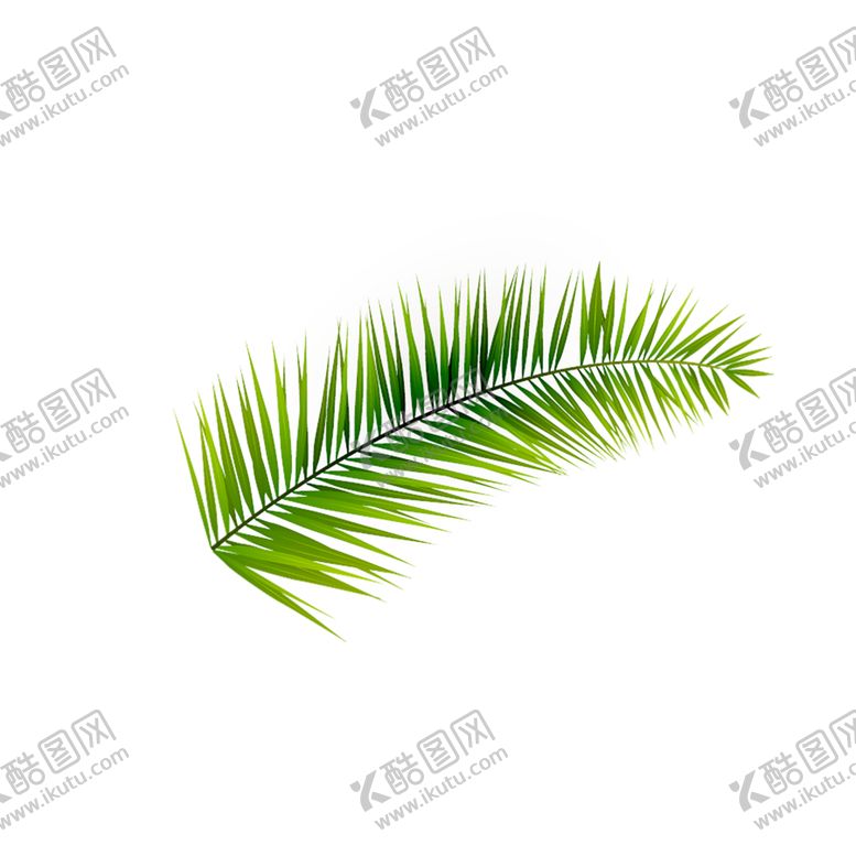 编号：58070107012225578829【酷图网】源文件下载-植物