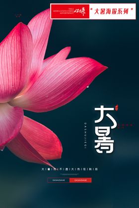 简约大暑节气宣传海报