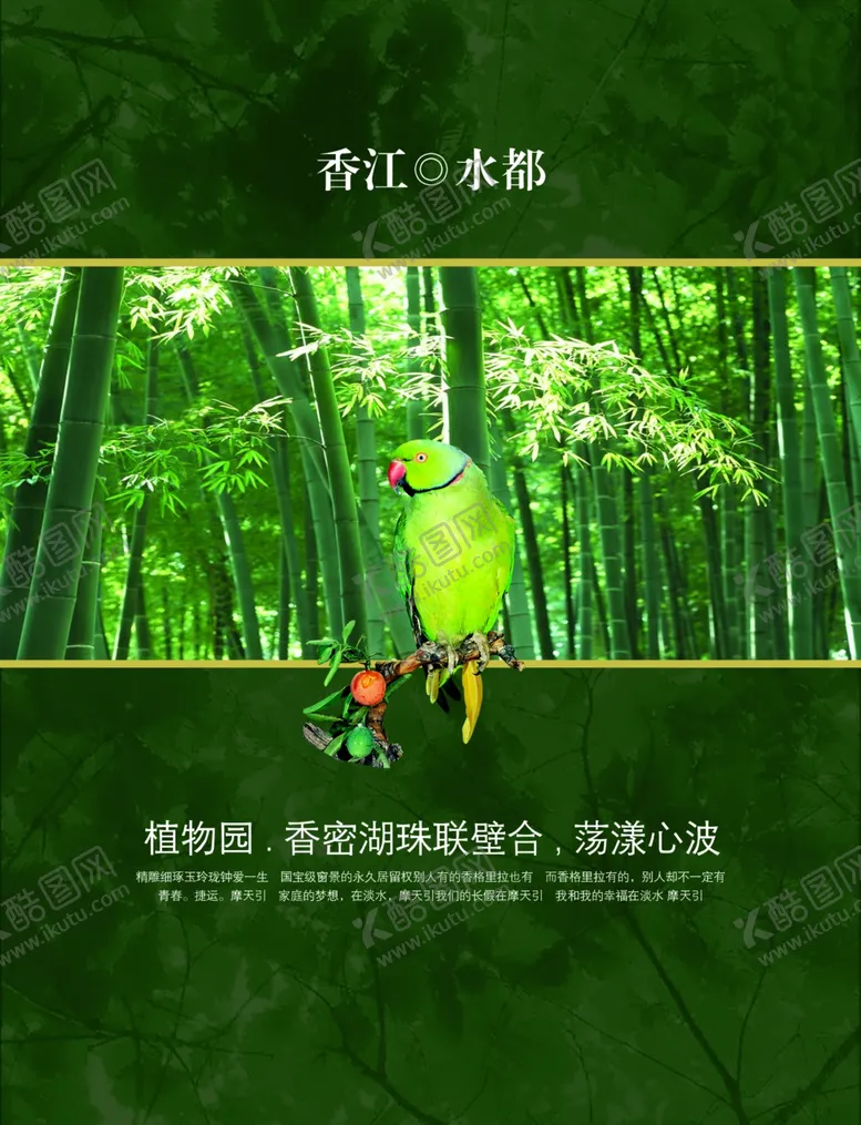 编号：81574206302154007663【酷图网】源文件下载-鹦鹉