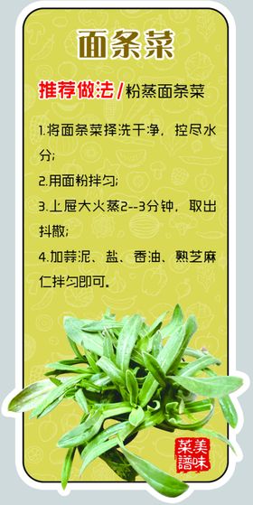 面条菜