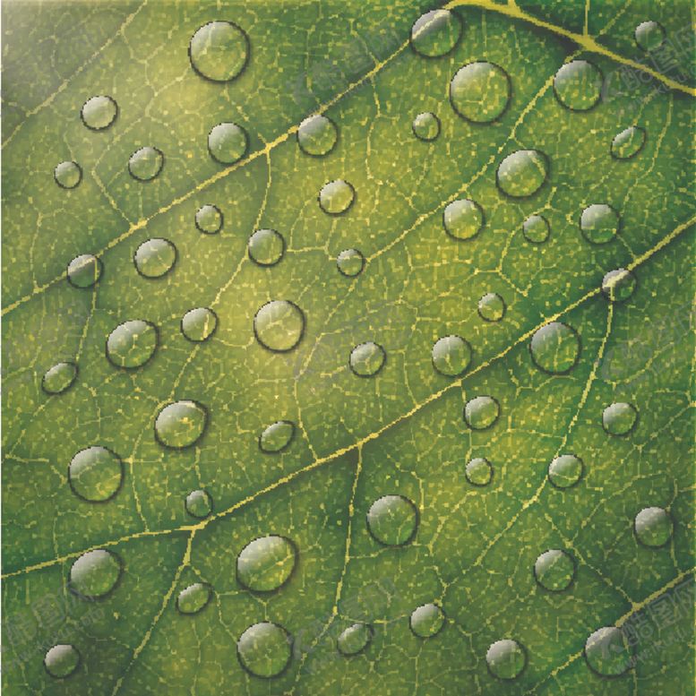 编号：66367609271855404016【酷图网】源文件下载-水珠