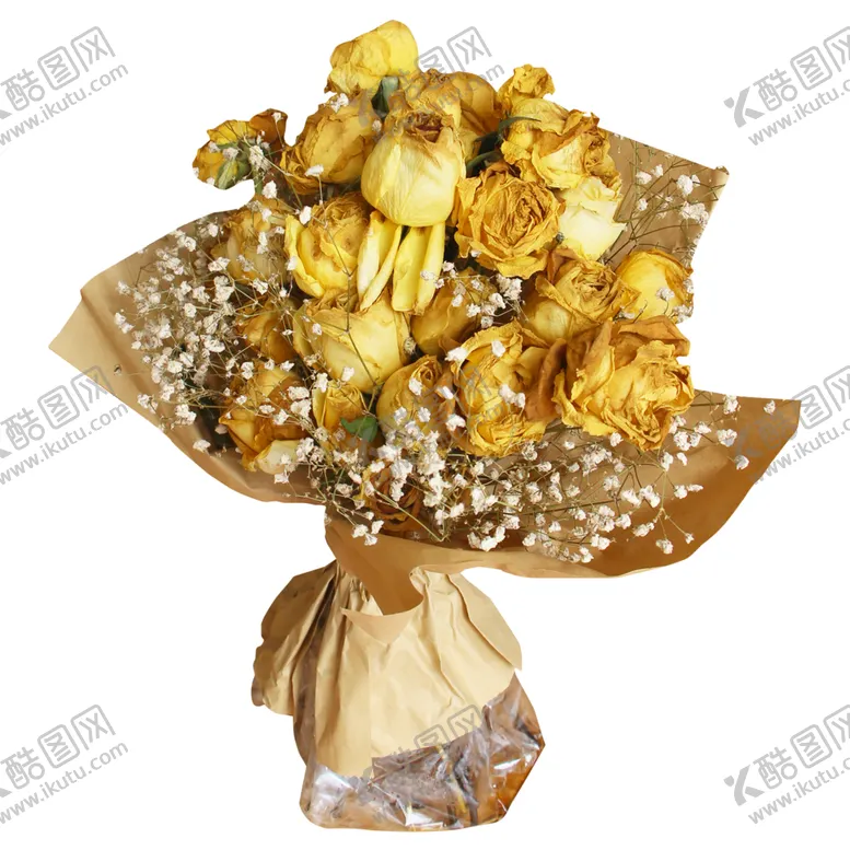 编号：25711706231748548083【酷图网】源文件下载-免抠背景干花枯花