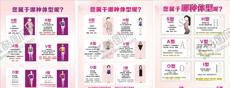 编号：28443606261927108847【酷图网】源文件下载-体型分析图