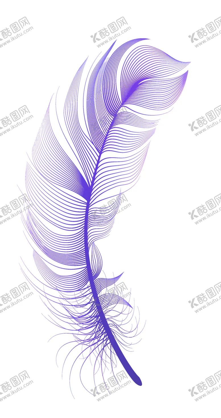 编号：82843102171101536890【酷图网】源文件下载-羽毛 素材