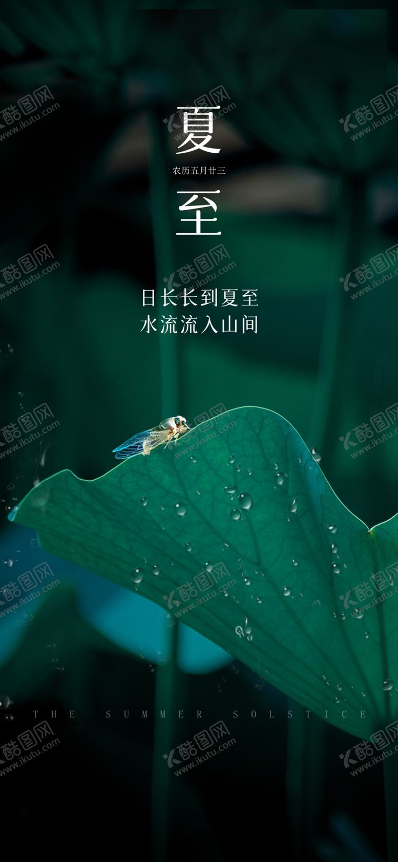 编号：91348609140114336701【酷图网】源文件下载-荷叶夏至节气传统节日地产