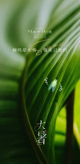 大暑节气海报绿色清新二十四