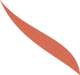 手绘树叶