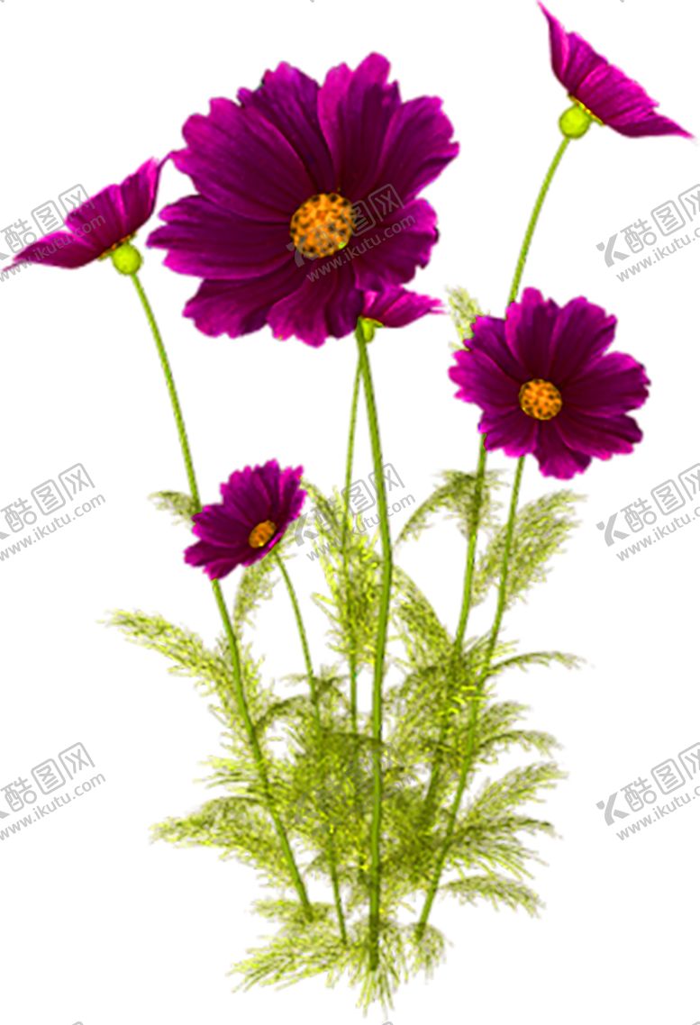 编号：39682610281358317375【酷图网】源文件下载-花素材