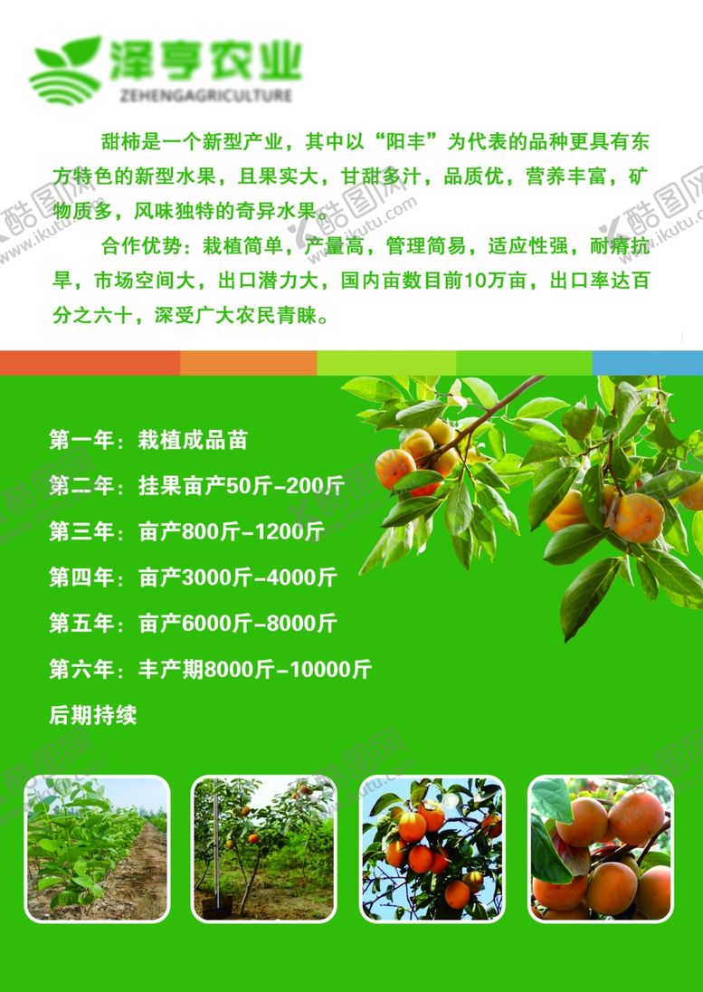 编号：66499510122039125415【酷图网】源文件下载-彩页设计