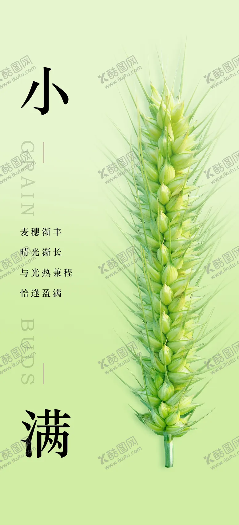 编号：79356209150709289781【酷图网】源文件下载-小满夏至转发图24节气