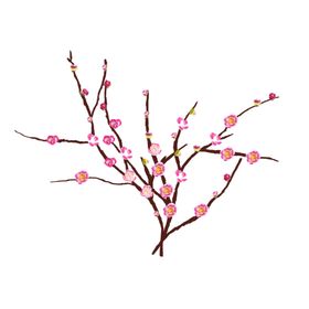 免抠背景干花枯花