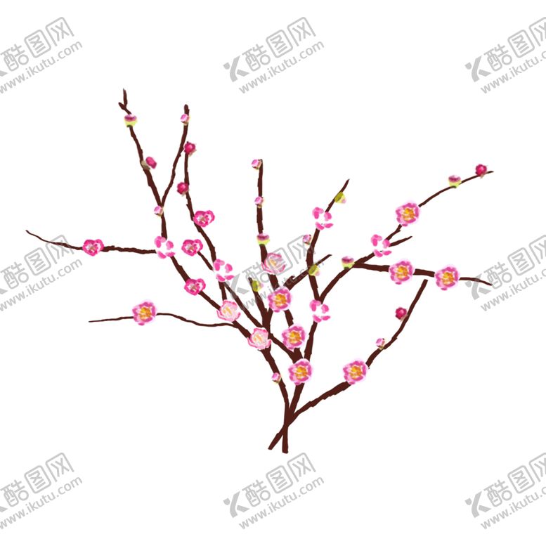 编号：79647506190708029485【酷图网】源文件下载-免抠背景干花枯花