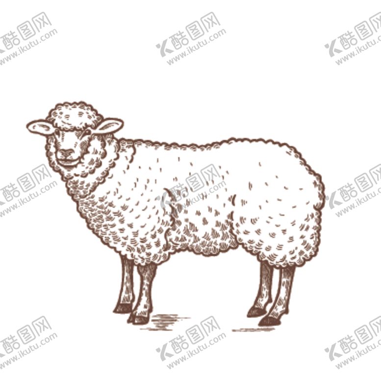 编号：82051009210851255499【酷图网】源文件下载-家养动物主题插画