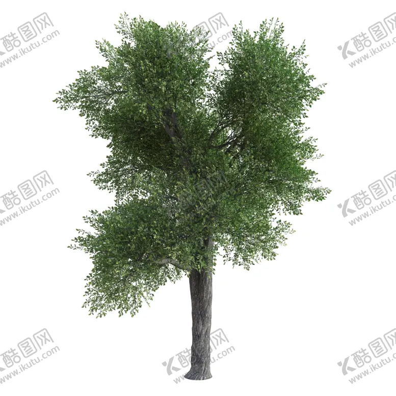 编号：23439912102322403237【酷图网】源文件下载-茂盛树木PSD透明背景素材