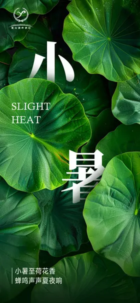 小暑大微信大转发图微信海报荷花