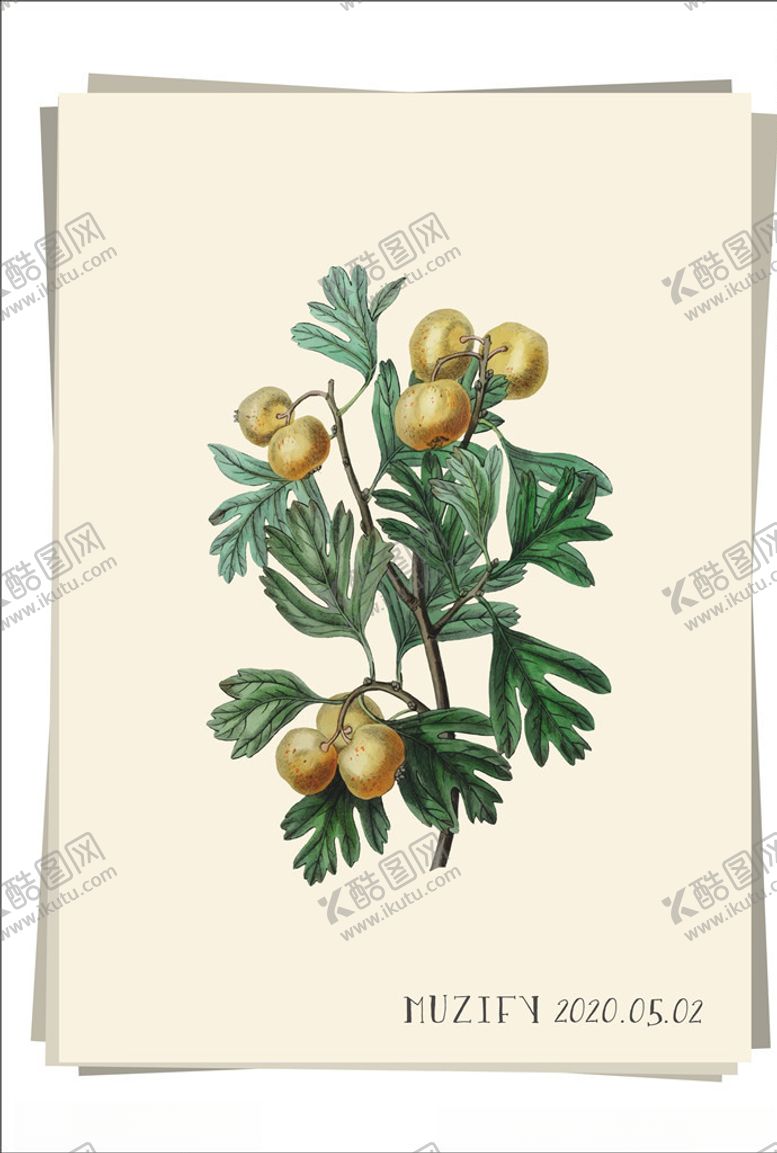 编号：11605809271600013989【酷图网】源文件下载-小柑橘水果图鉴