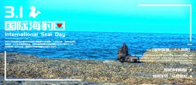 国际海豚日