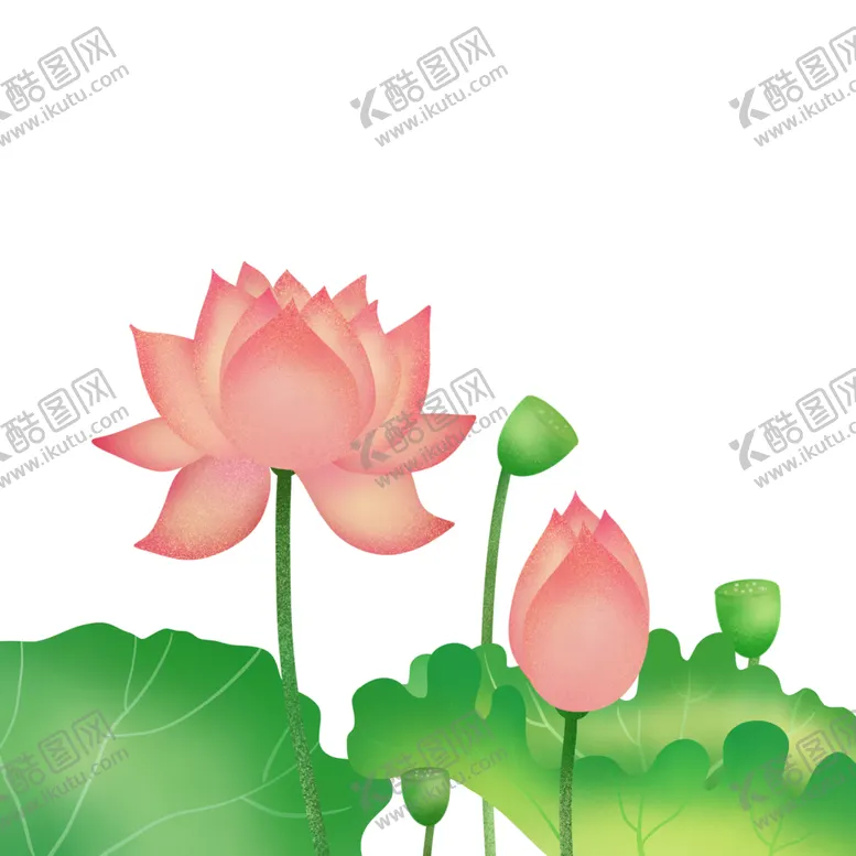 编号：55235504070817196657【酷图网】源文件下载-荷花元素