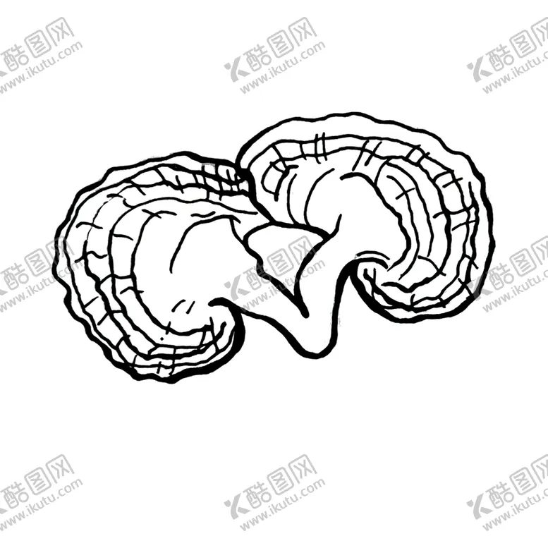 编号：61687210160721576958【酷图网】源文件下载-灵芝