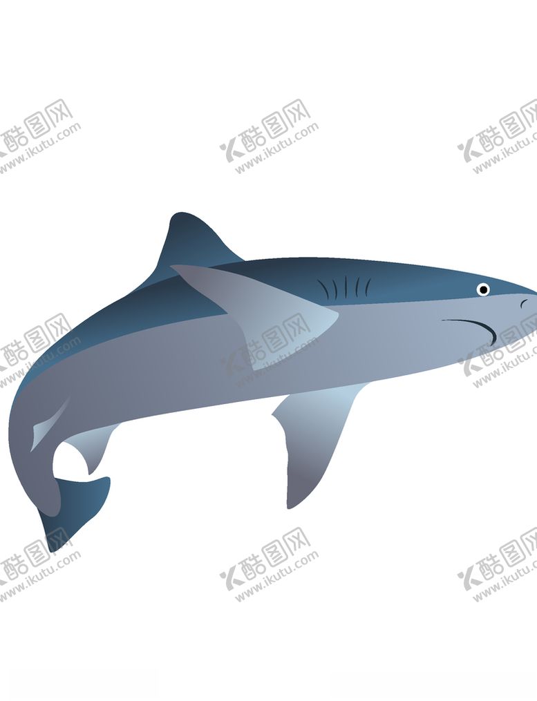 编号：63698909290737295626【酷图网】源文件下载-矢量鲨鱼
