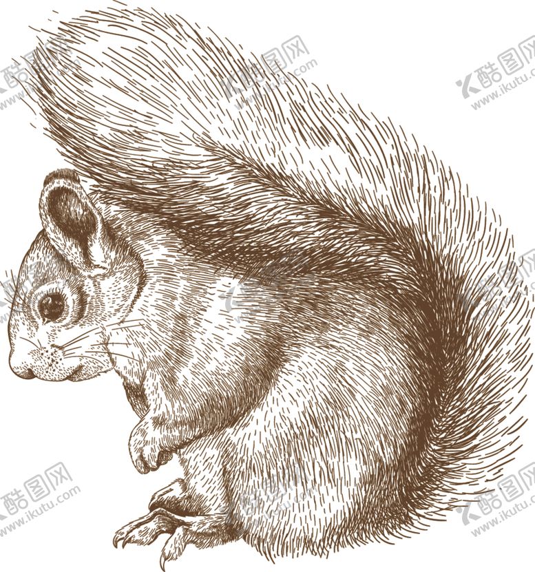 编号：24775509120055424538【酷图网】源文件下载-动物素描