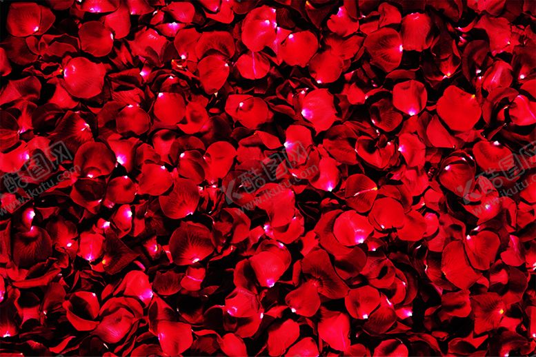 编号：55427910291027089039【酷图网】源文件下载-浪漫素材