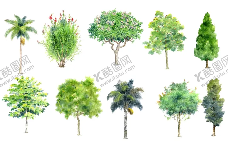 编号：86145302162339478585【酷图网】源文件下载-植物