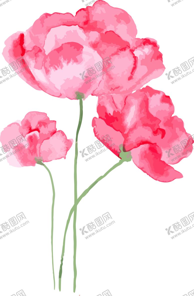 编号：78355505021614149357【酷图网】源文件下载-荷花