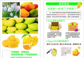 芒果新鲜芒果芒果采摘园海
