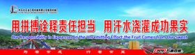 用拼搏诠释责任担当