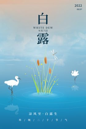 白露海报