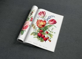画册样机效果图