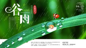 谷雨