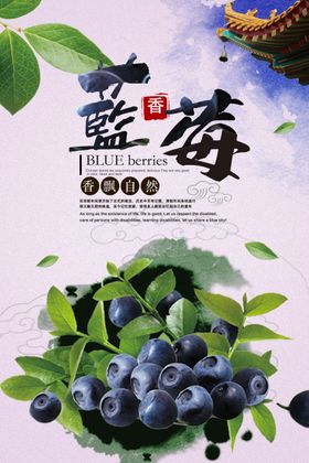 蓝莓海报