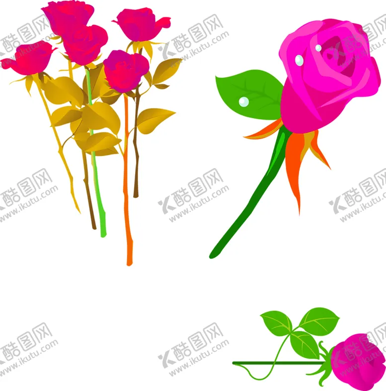 编号：87773106300952252727【酷图网】源文件下载-鲜花素材