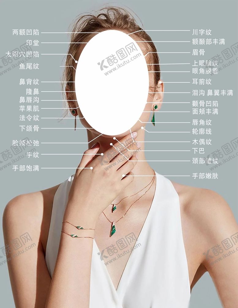 编号：11238010301720135756【酷图网】源文件下载-美女美容部位结构