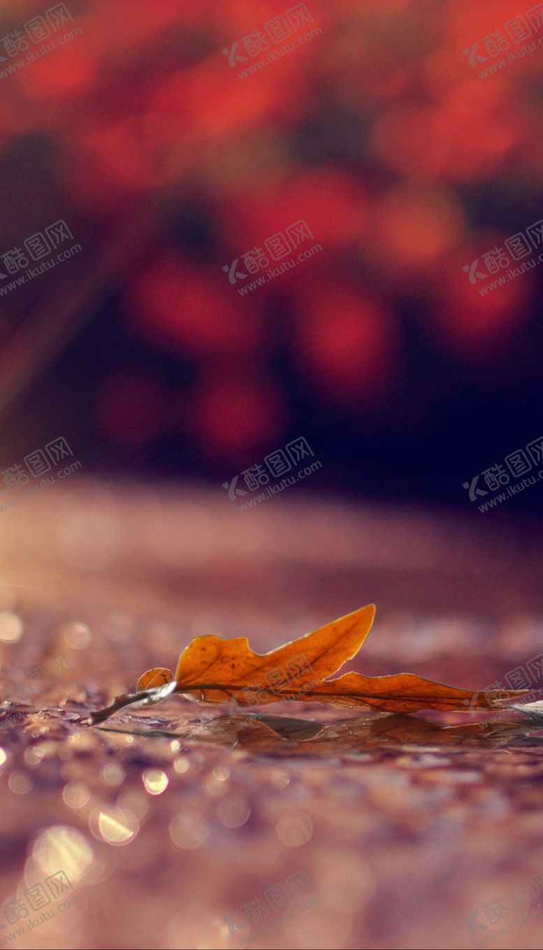 编号：70723910170005517796【酷图网】源文件下载-地产节气