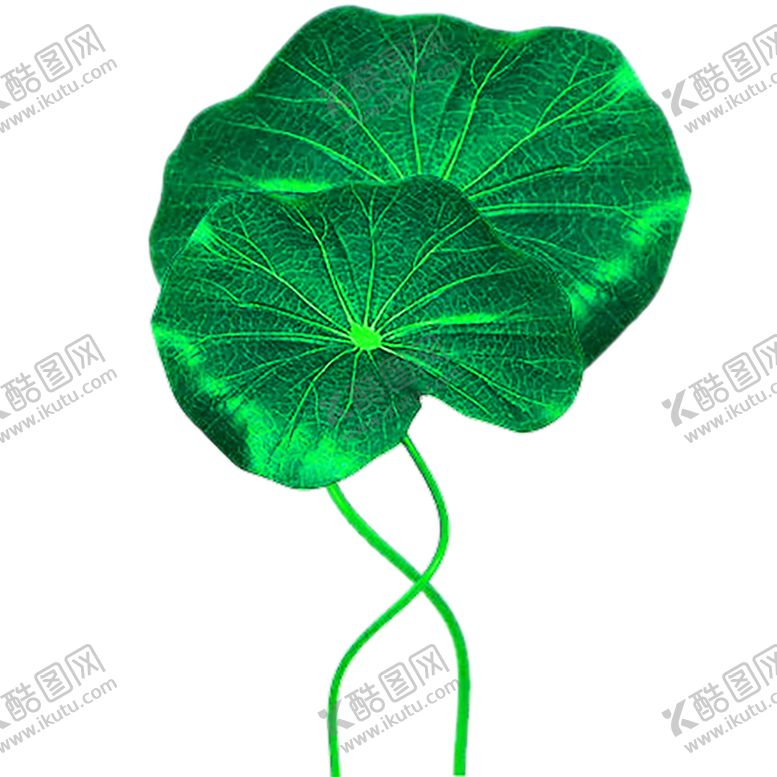 编号：83062407021401584944【酷图网】源文件下载-花素材