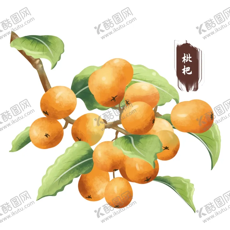 编号：25657701271405475848【酷图网】源文件下载-中药手绘插画