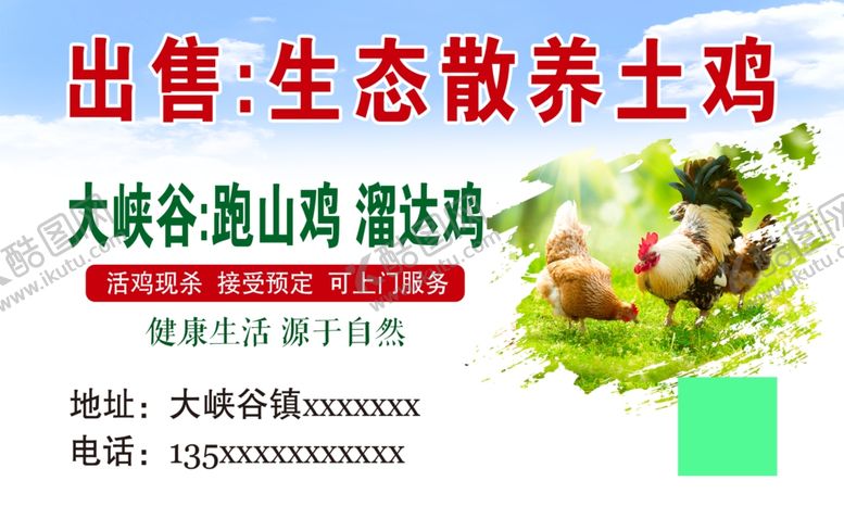 编号：75122704151927248543【酷图网】源文件下载-出售生态散养土鸡