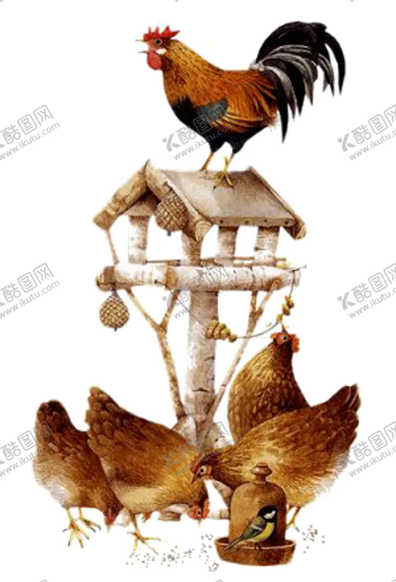 编号：37852406301928461169【酷图网】源文件下载-鸡母鸡母鸡插图母鸡绘画